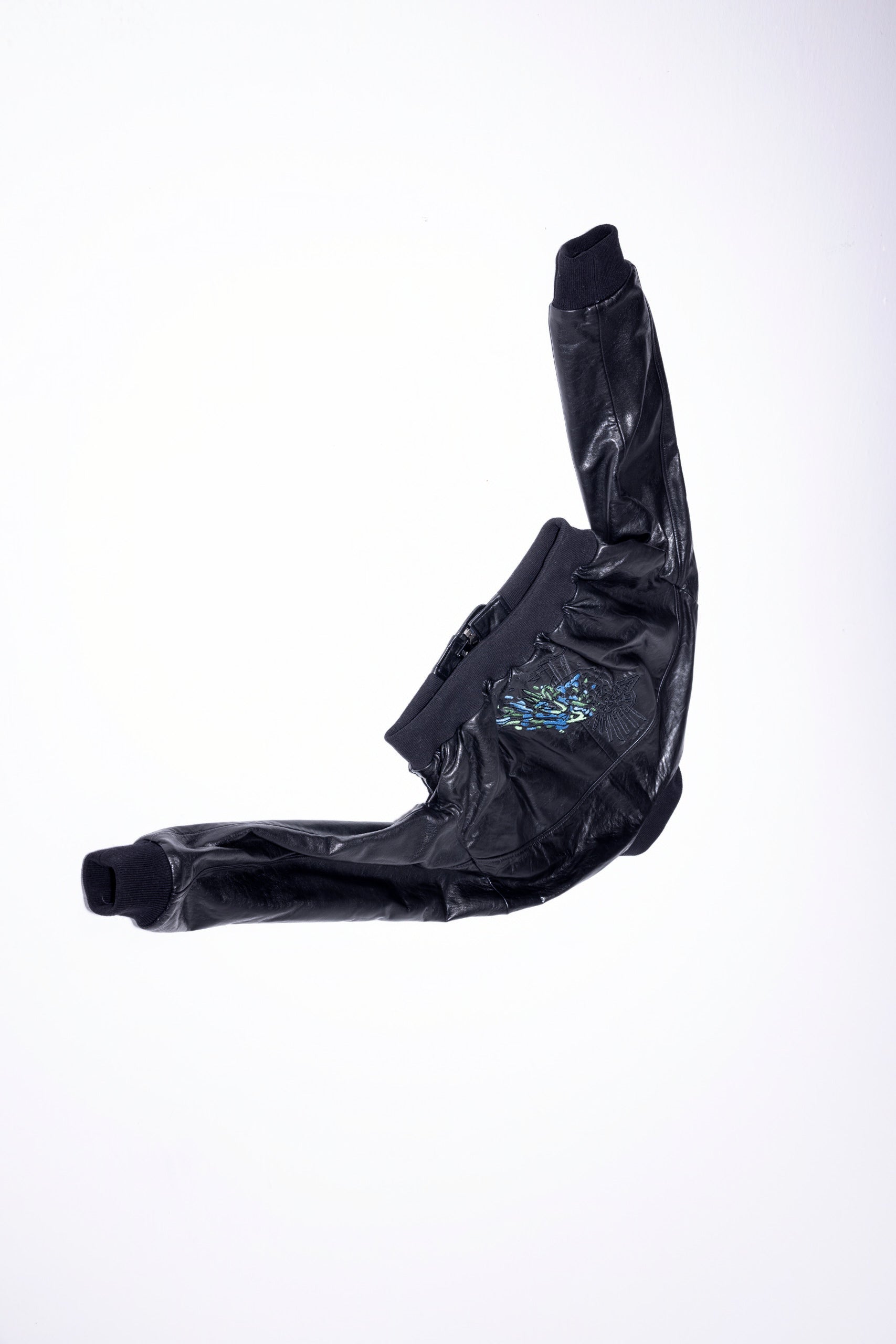 Pyrha Bird Embroidered Leather Bomber Jacket